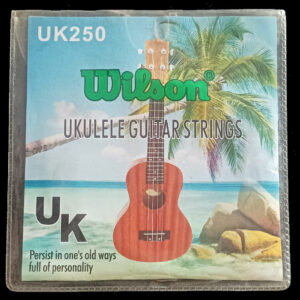 Ukulele Strings Set