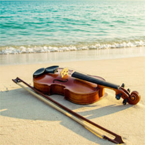 violin
